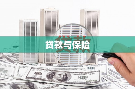 中原贷款与保险