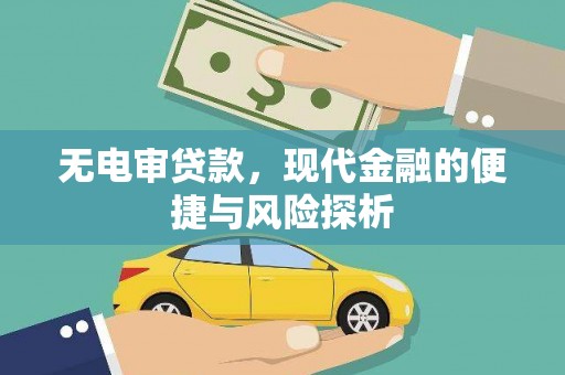 中原无电审贷款，现代金融的便捷与风险探析