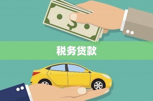 中原税务贷款