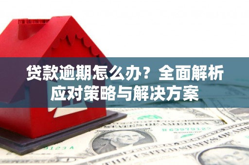 中原贷款逾期怎么办？全面解析应对策略与解决方案