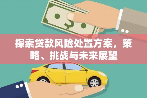 中原探索贷款风险处置方案，策略、挑战与未来展望