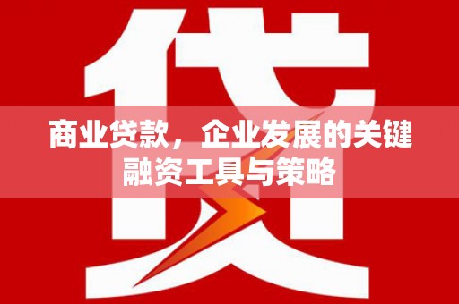 中原商业贷款，企业发展的关键融资工具与策略
