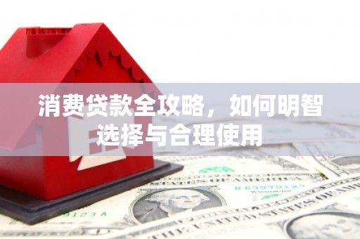 中原消费贷款全攻略，如何明智选择与合理使用