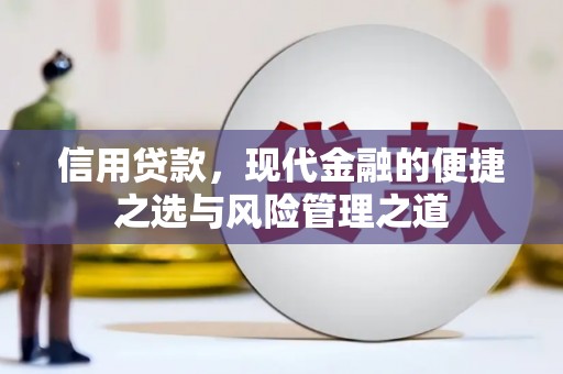 中原信用贷款，现代金融的便捷之选与风险管理之道