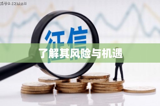 中原了解其风险与机遇