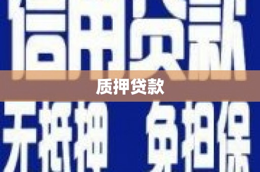 中原质押贷款