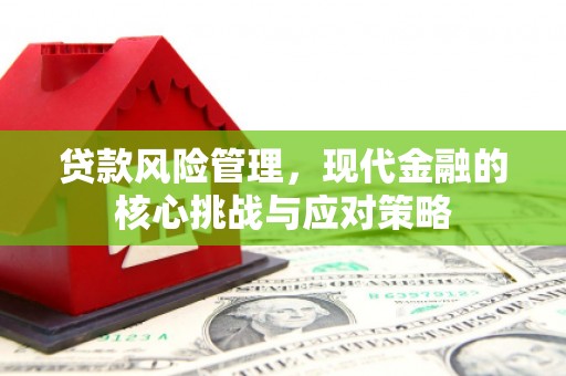 中原贷款风险管理，现代金融的核心挑战与应对策略