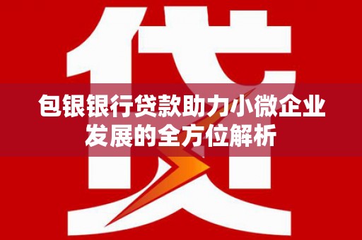中原包银银行贷款助力小微企业发展的全方位解析