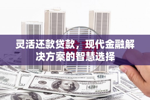 中原灵活还款贷款，现代金融解决方案的智慧选择