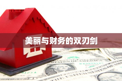 中原美丽与财务的双刃剑