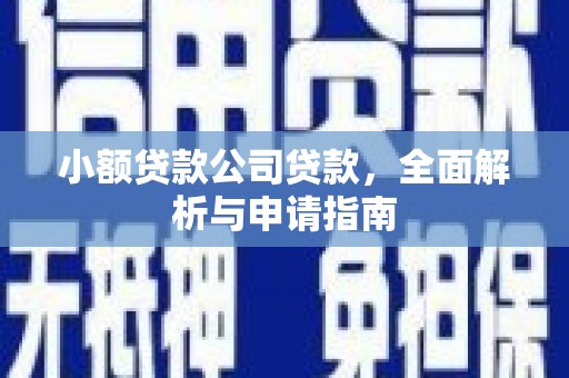 中原小额贷款公司贷款，全面解析与申请指南