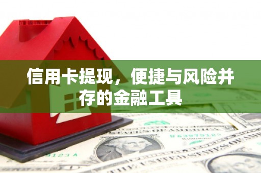 中原信用卡提现，便捷与风险并存的金融工具