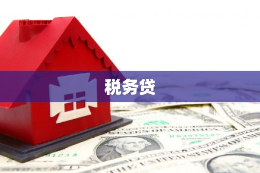 中原税务贷