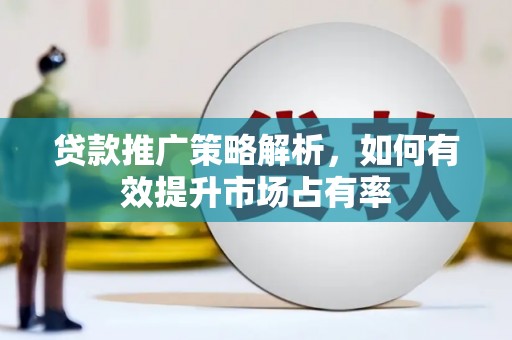 中原贷款推广策略解析，如何有效提升市场占有率