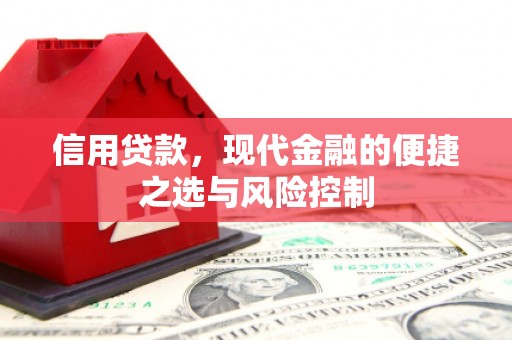 中原信用贷款，现代金融的便捷之选与风险控制