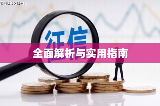 中原全面解析与实用指南