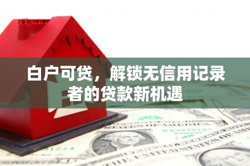 中原白户可贷，解锁无信用记录者的贷款新机遇