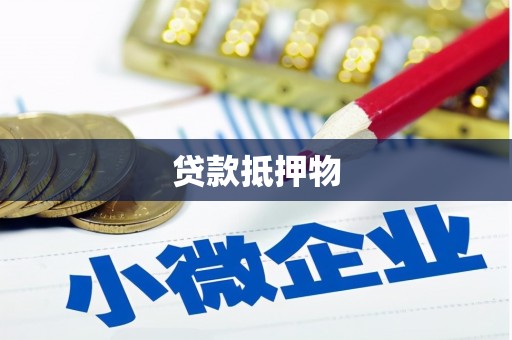 中原贷款抵押物