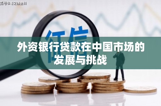 中原外资银行贷款在中国市场的发展与挑战