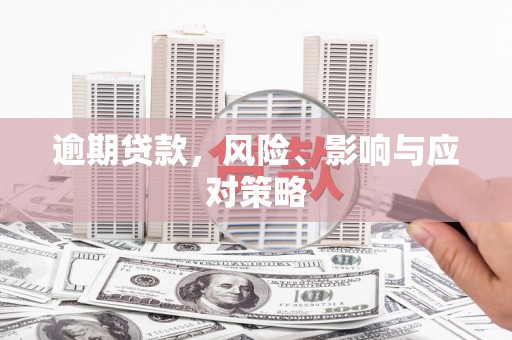 中原逾期贷款，风险、影响与应对策略