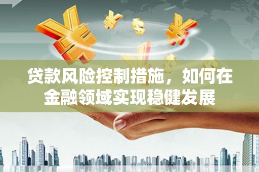 中原贷款风险控制措施，如何在金融领域实现稳健发展