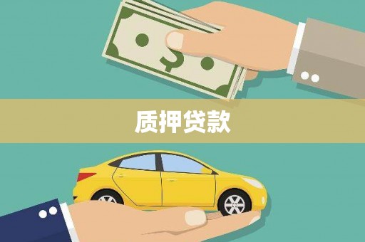 中原质押贷款