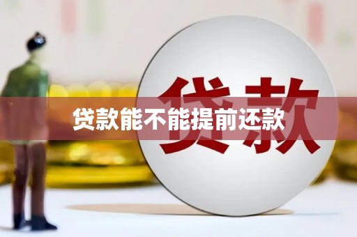 中原贷款能不能提前还款