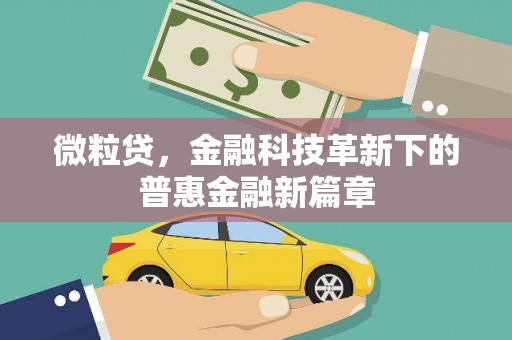中原微粒贷，金融科技革新下的普惠金融新篇章