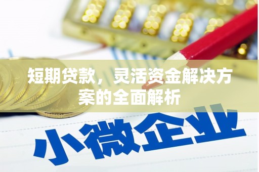 中原短期贷款，灵活资金解决方案的全面解析