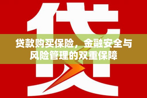 中原贷款购买保险，金融安全与风险管理的双重保障