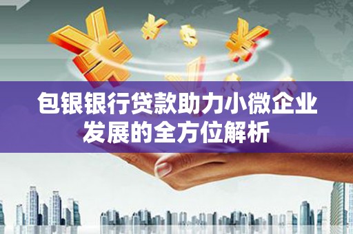 中原包银银行贷款助力小微企业发展的全方位解析
