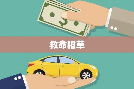 中原救命稻草