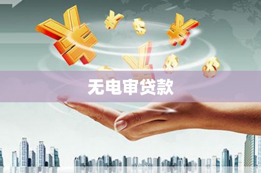 中原无电审贷款