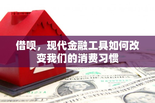 中原借呗，现代金融工具如何改变我们的消费习惯