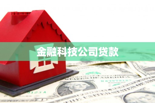 中原金融科技公司贷款