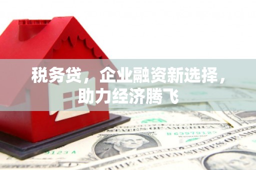 中原税务贷，企业融资新选择，助力经济腾飞