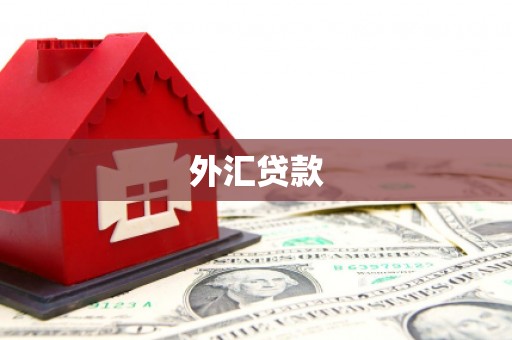 中原外汇贷款