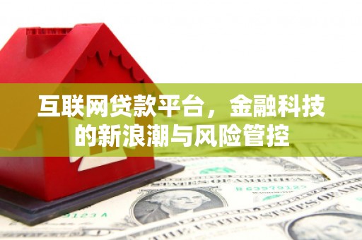 中原互联网贷款平台，金融科技的新浪潮与风险管控