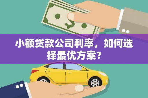中原小额贷款公司利率，如何选择最优方案？