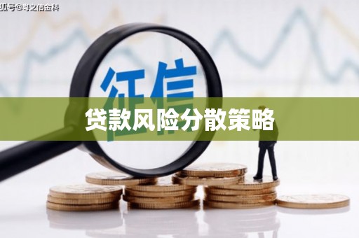 中原贷款风险分散策略