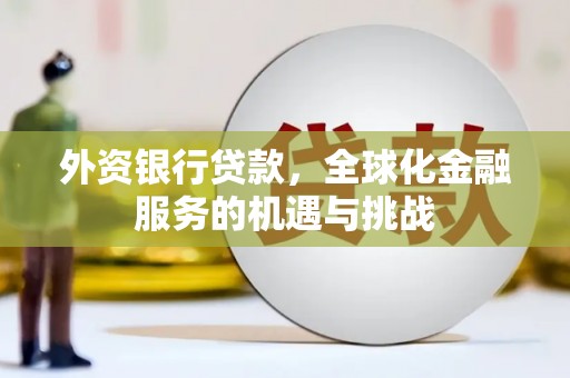 中原外资银行贷款，全球化金融服务的机遇与挑战