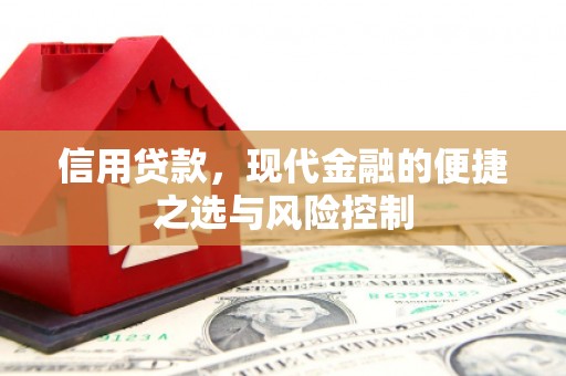 中原信用贷款，现代金融的便捷之选与风险控制