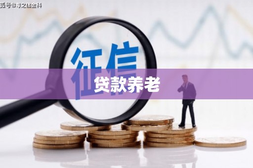 中原贷款养老