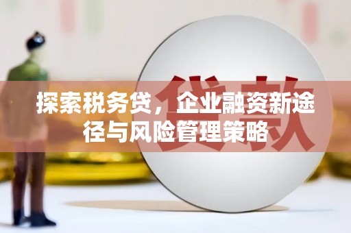 中原探索税务贷，企业融资新途径与风险管理策略