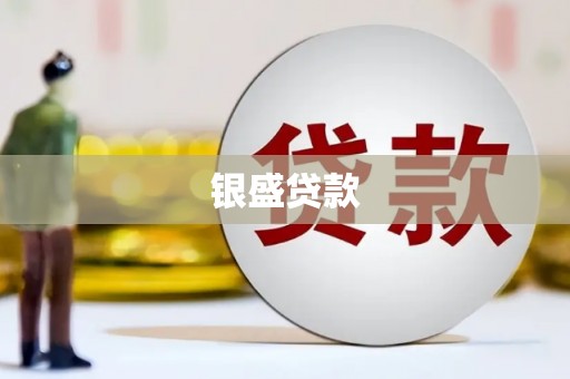 中原银盛贷款
