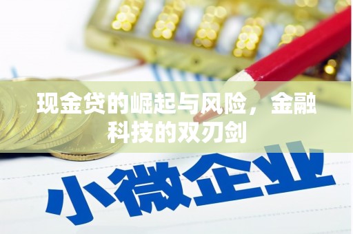 中原现金贷的崛起与风险，金融科技的双刃剑