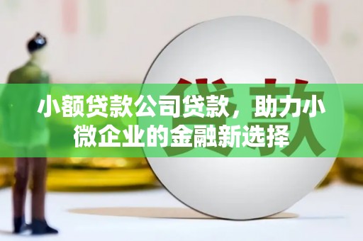 中原小额贷款公司贷款，助力小微企业的金融新选择