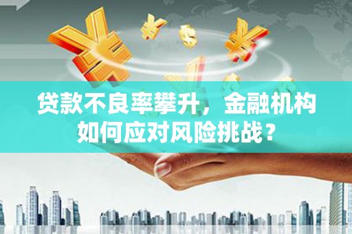 中原贷款不良率攀升，金融机构如何应对风险挑战？