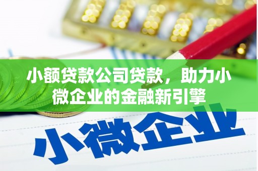 中原小额贷款公司贷款，助力小微企业的金融新引擎