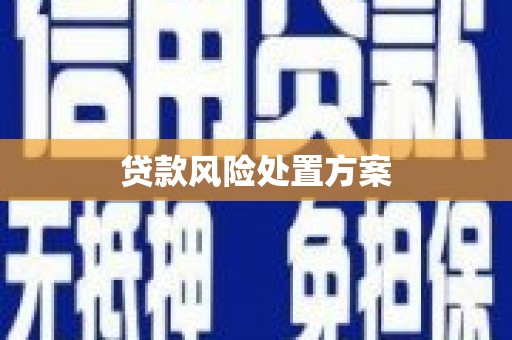 中原贷款风险处置方案